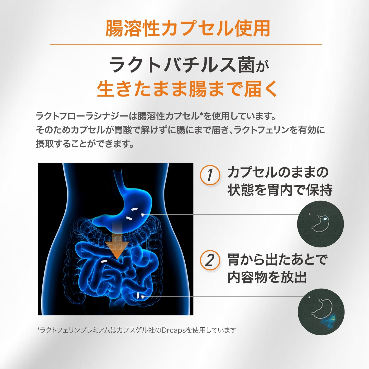ラクトフローラシナジー