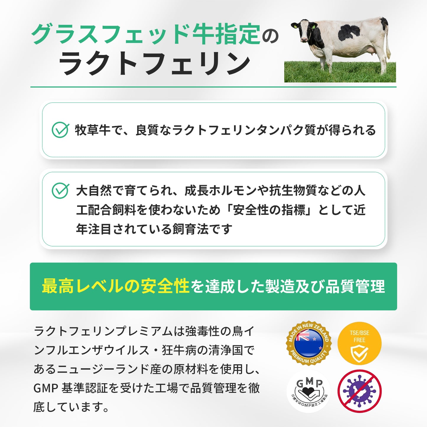 乳铁蛋白，完全无添加，高纯度95%