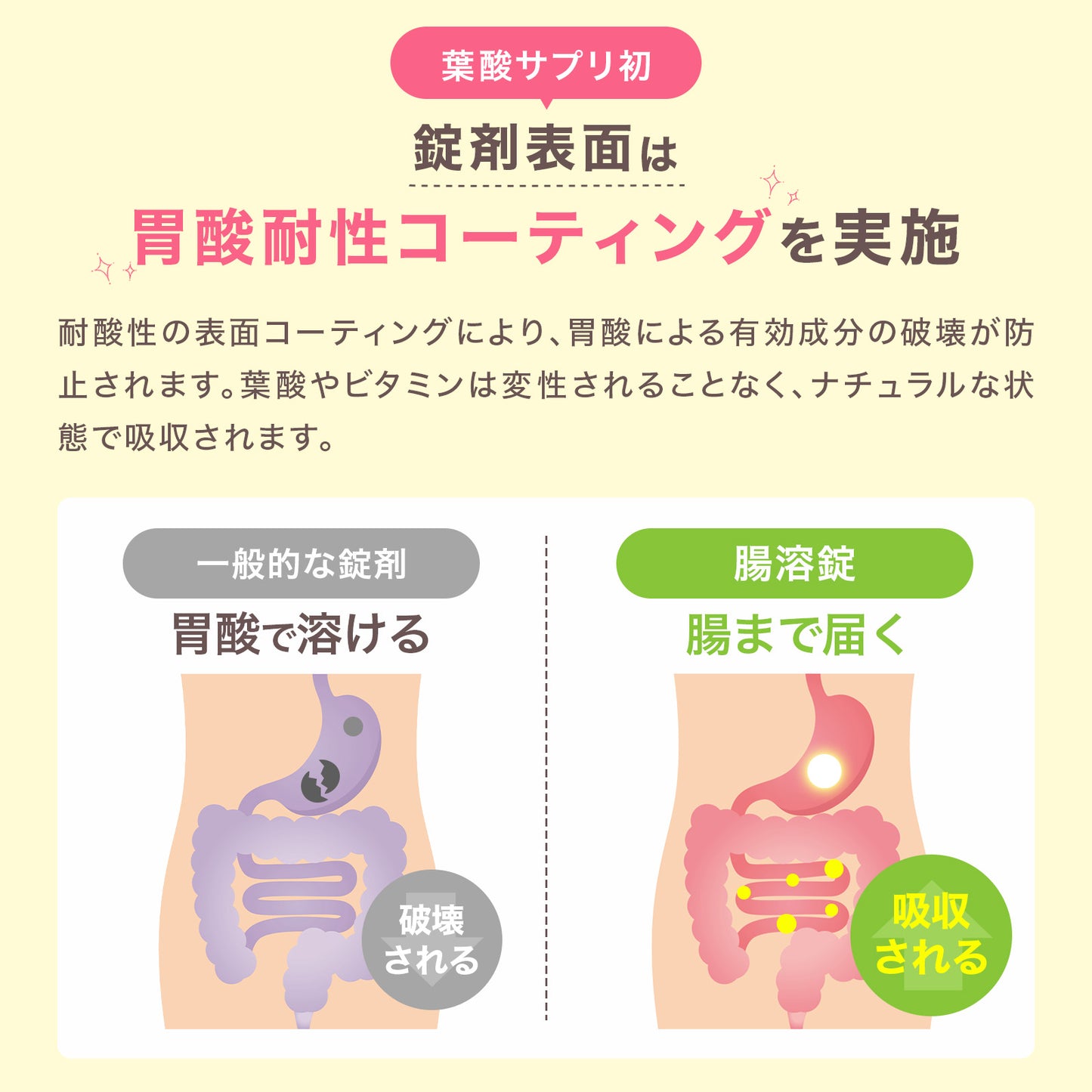 【New：5/19発売開始】MyVita 葉酸サプリ 葉酸800μg配合