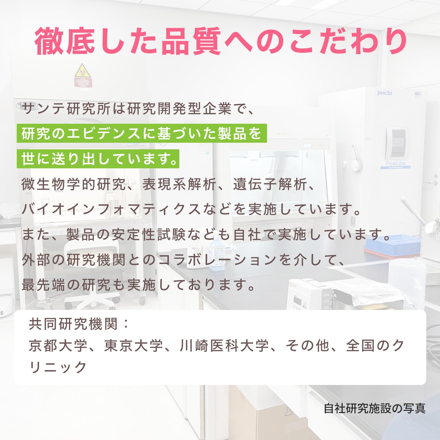 【New：5/19発売開始】MyVita 葉酸サプリ 葉酸800μg配合