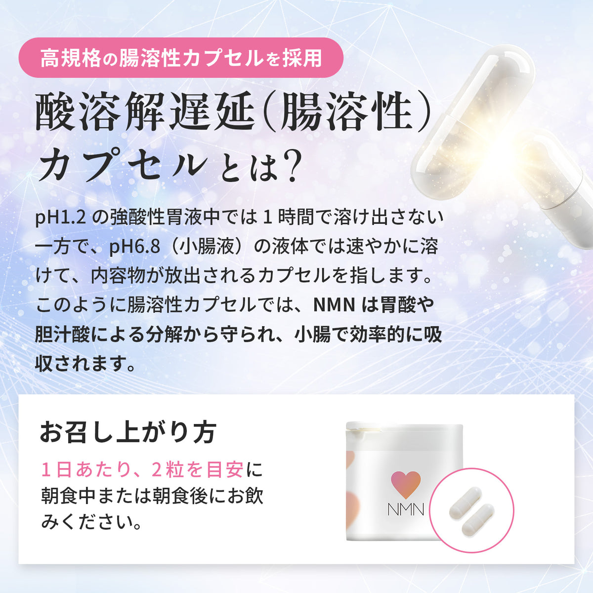 NMN 500mg（AMH妊娠对策） 完全无添加 1个月用量